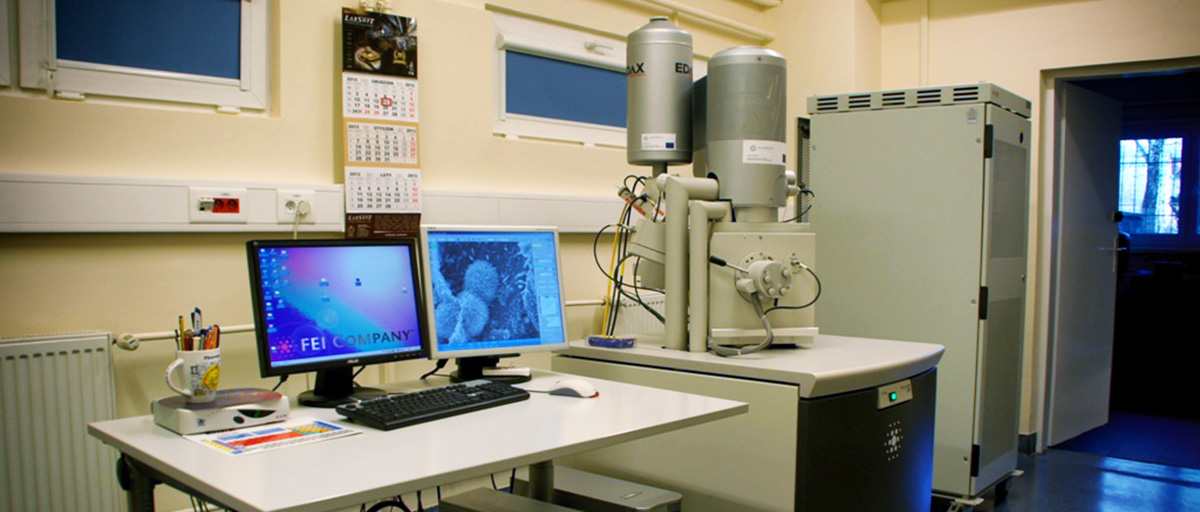 Zdjęcie: Wydziałowe Laboratorium Mikroskopii Skaningowej i Mikroanalizy