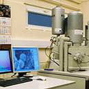 Picture: 
               Wydziałowe Laboratorium Mikroskopii Skaningowej i Mikroanalizy